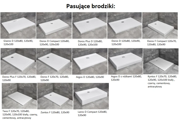 Drzwi prysznicowe Radaway Espera Pro DWJ 120x200 prawe przejrzyste