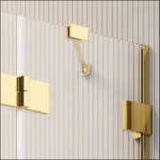 Kabina Radaway Essenza Pro Gold PDD 100x80x200 szkło przejrzyste