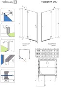 Drzwi prysznicowe Radaway Torrenta DWJ 100x195 prawe, szkło przejrzyste