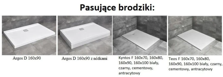 Drzwi prysznicowe Radaway Espera Pro DWJ 160x200 prawe przejrzyste