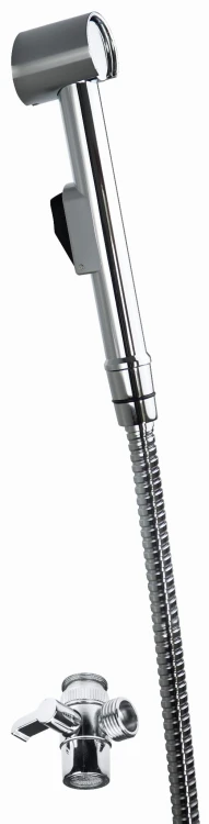 Zestaw bidetta punktowy z przełącznikiem natrysku chrom Deante