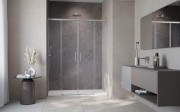 Drzwi prysznicowe Idea Brushed Nickel DWD Radaway szkło przejrzyste