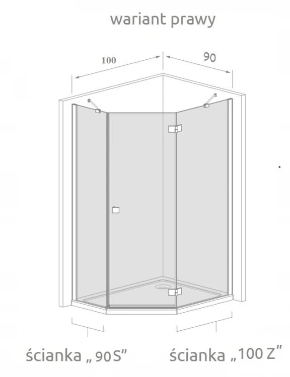 Kabina pięciokątna Radaway Nes PTJ 100x90x200 szkło przejrzyste, wersja prawa