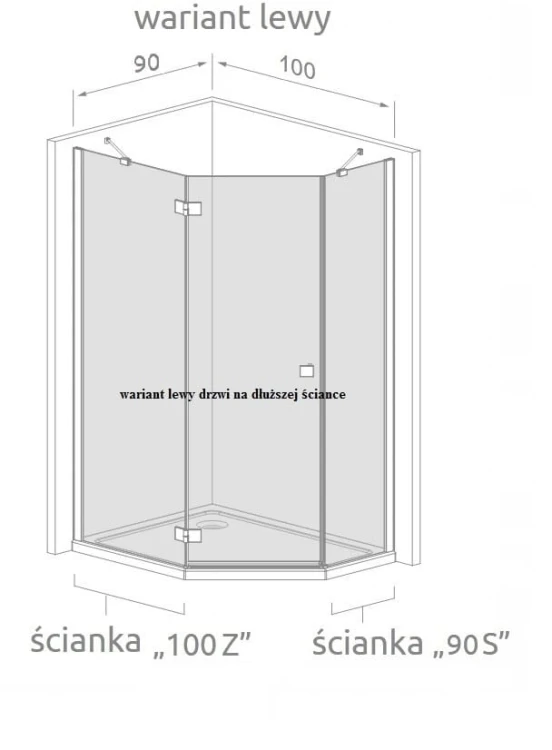 Kabina pięciokątna Radaway Nes PTJ 100x90x200 szkło przejrzyste, wersja lewa