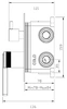 442_2.webp