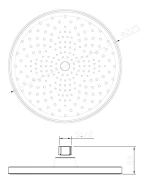 304_2.webp