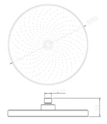 310_2.webp