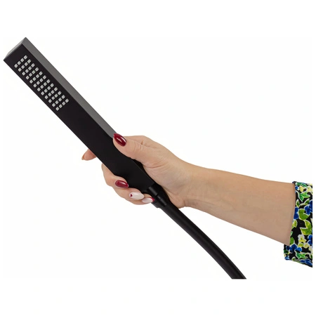 366_3.webp