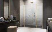 Drzwi prysznicowe Radaway Nes Brushed Gold DWD II