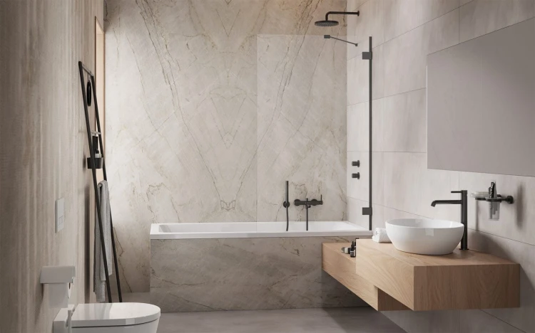 Parawan nawannowy Radaway Essenza Pro Brushed GunMetal PNJ II