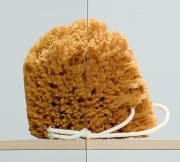 Kabina Radaway Euphoria walk-in IV 110x80x200 szkło przejrzyste