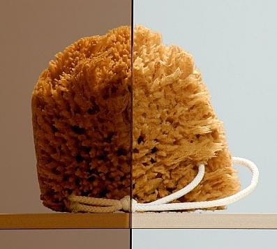 Kabina półokrągła Radaway Premium Plus A 80x80x190 szkło brązowe