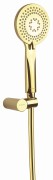 Zestaw prysznicowy złoty Arnika Deante NQAZ41K
