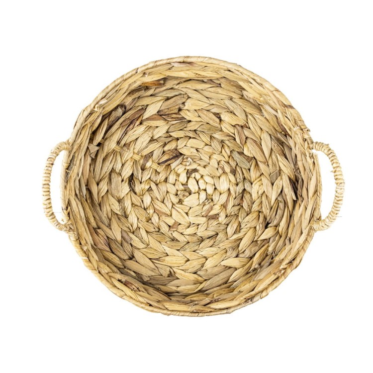 Taca z hiacyntu wodnego arola 416xl 40x8cm koszoplotka
