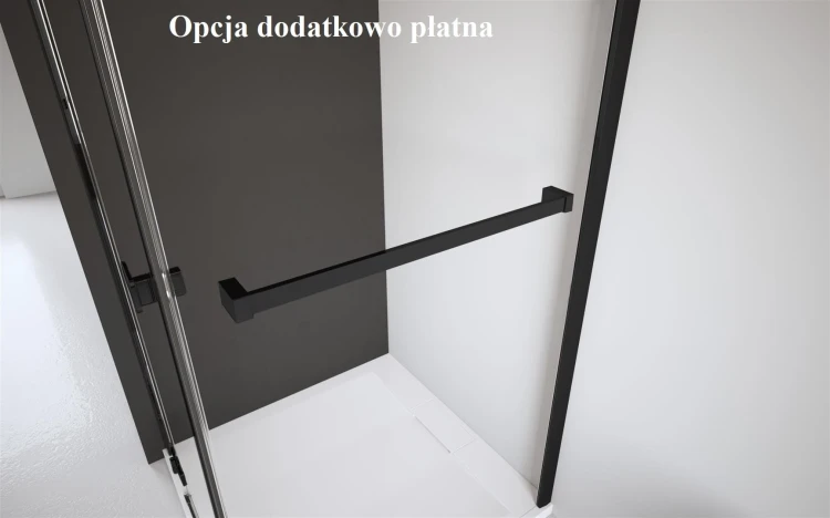 Kabina Radaway Modo New Black I 120x200 szkło przejrzyste