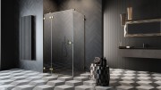 Kabina Radaway Essenza Pro Gold KDJ 110x110x200 lewa przejrzysta