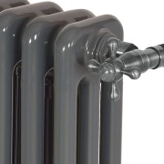 Grzejnik dekoracyjny Radeco Trex-300/15 30x69cm