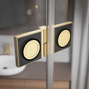 Drzwi prysznicowe Radaway Essenza 8 Gold DWJ lewe
