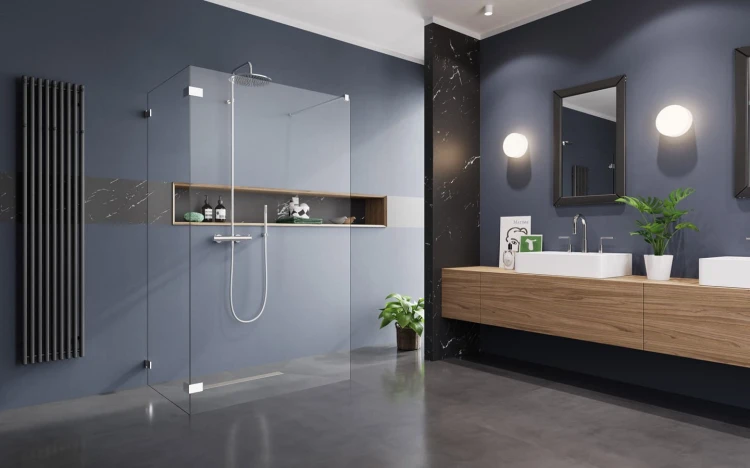 Kabina prysznicowa Radaway Euphoria walk-in VI