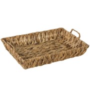 Taca z hiacyntu wodnego koszoplotka 45x30x8h dno: 40x26