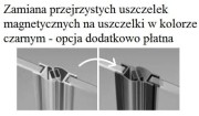 Drzwi Radaway Nes 8 Black DWD I 90x200 przejrzyste 55L+35R